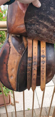 Passier PS-Baum 16,5 Zoll, Passier PS-Baum, Kathleen, Jumping Saddle, Heidenau, Image 10