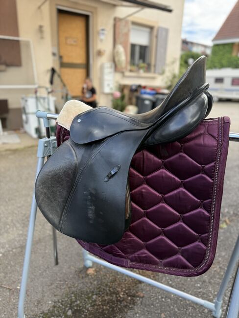 Passier PSL VD Vielseitigkeitssattel VS VSD 16,5, Passier PSL VD, Manuela G., All Purpose Saddle, Schallbach, Image 8