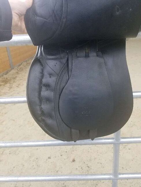 Passier Sattel - Vielseitigkeit, Schwerpunkt Dressur, Passier, Kyra, All Purpose Saddle, Sankt Pölten, Image 6