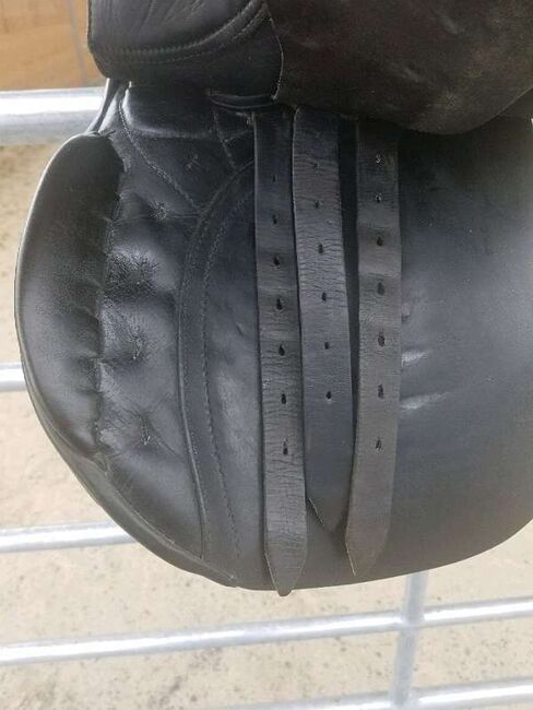 Passier Sattel - Vielseitigkeit, Schwerpunkt Dressur, Passier, Kyra, All Purpose Saddle, Sankt Pölten, Image 4