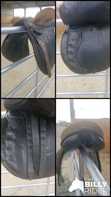 Passier Sattel - Vielseitigkeit, Schwerpunkt Dressur, Passier, Kyra, All Purpose Saddle, Sankt Pölten, Image 7