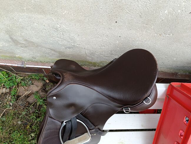 Passier Sattel, Passier Celle, F.R, All Purpose Saddle, Brandenburg, Image 4