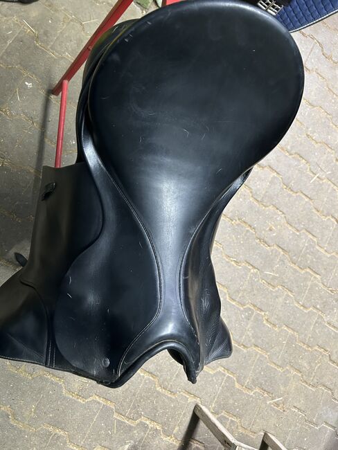 Passier Sattel, Passier Corona, Nine, Dressage Saddle, Bochum, Image 3