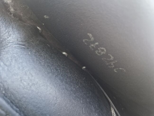 Passier-Sattel Corona, Passier Corona, Meyer, Dressage Saddle, Dresden, Image 5