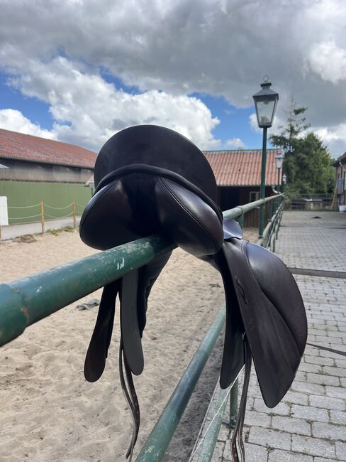 PASSIER Dressursattel „Sirius“, Passier Sirius, Heidi Luttke, Dressage Saddle, Rottach-Egern, Image 6
