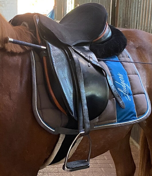 Passier & Sohn VS Sattel Young Eventer, Passier & Sohn Young Eleventer, Privat , All Purpose Saddle, Minden