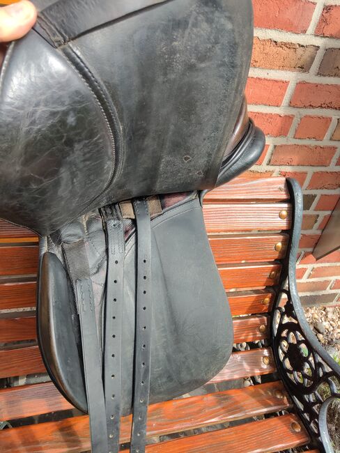 Passier VD Sattel, Passier VD, Petra Böttge , Dressage Saddle, Gütersloh , Image 5