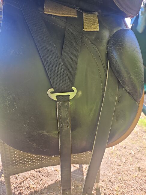 Passier young Champ 16", Passier  Young Champ , Sylwia , Dressage Saddle, Kellinghusen , Image 2