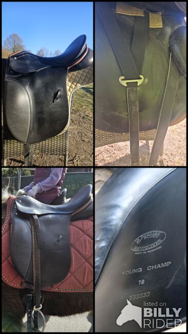 Passier young Champ 16", Passier  Young Champ , Sylwia , Dressage Saddle, Kellinghusen , Image 7