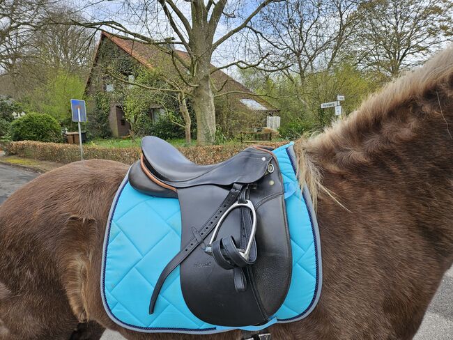 Passier young Champ 16", Passier  Young Champ , Sylwia , Dressage Saddle, Kellinghusen , Image 6