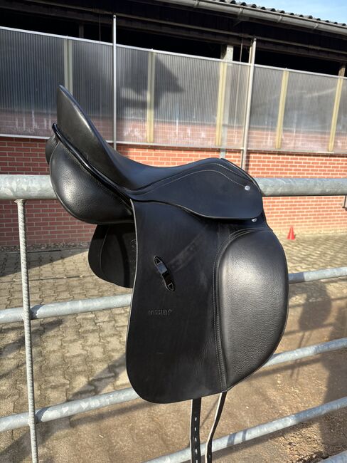 Passier Young Star 2 16 Zoll Dressursattel, Passier Young Star 2, Svenja Bott , Dressage Saddle, Schwelm , Image 9