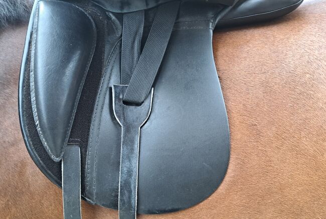 Passier Youngstar Sattel 16 Zoll, Passier  Youngstar I 16 Zoll, Paulina Sellhorst, Dressage Saddle, Iserlohn , Image 11