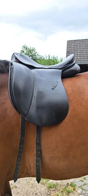 Passier Youngstar Sattel 16 Zoll, Passier  Youngstar I 16 Zoll, Paulina Sellhorst, Dressage Saddle, Iserlohn , Image 12