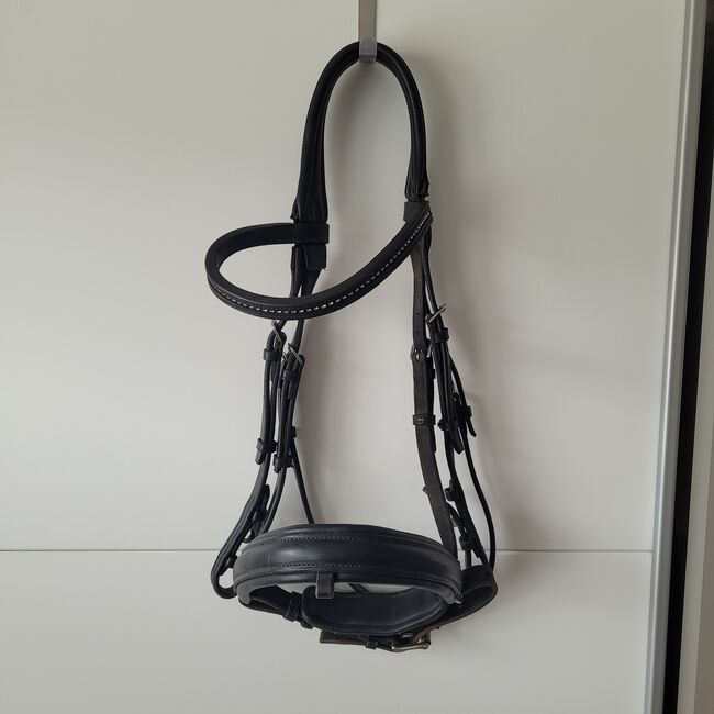 Passier Trense "Fortuna", Passier & Sons Fortuna, Isabelle, Bridles & Headstalls, Rietheim-Weilheim, Image 4