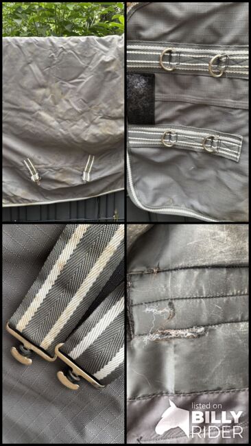 Passion 4Q 3 Zonen 300g 135cm, Passion 4Q/ Loesdau, Isabel , Horse Blankets, Sheets & Coolers, Bochum, Image 8