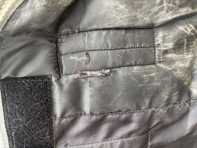 Passion 4Q 3 Zonen 300g 135cm, Passion 4Q/ Loesdau, Isabel , Horse Blankets, Sheets & Coolers, Bochum, Image 6