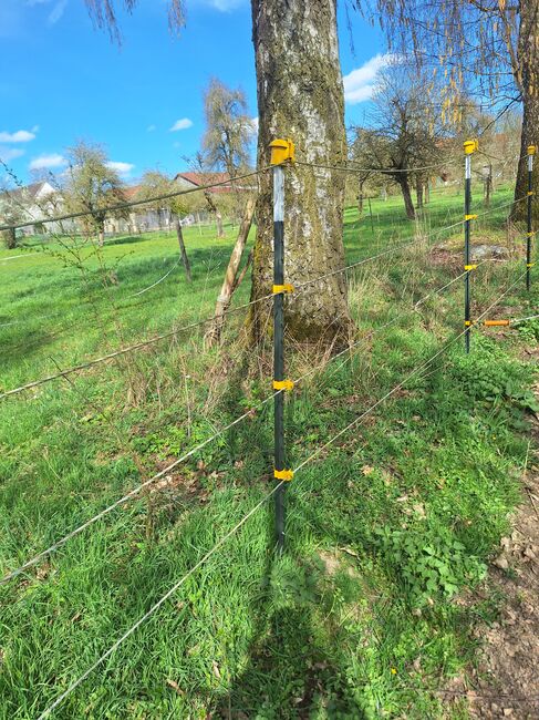 Weidezaunpfosten Texas Trading, Texas Trading T- Eisen, Gabriele, Electric Fencing Equipment, Hattenhofen