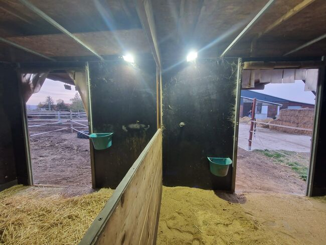 Weidehütte 6x3 m, Nadia , Tack Room & Stable Supplies, Bad Harzburg Bündheim/Schlewecke, Schlewecke, Image 9