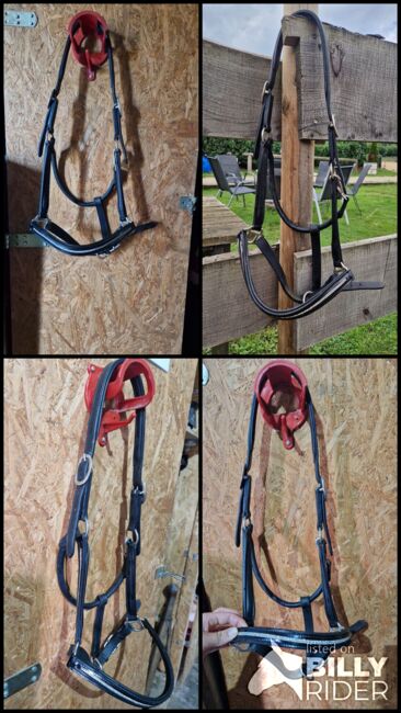 Lack/ Leder/ Glitzer Halfter, Kirchhoff, Halters, Iserlohn, Image 8