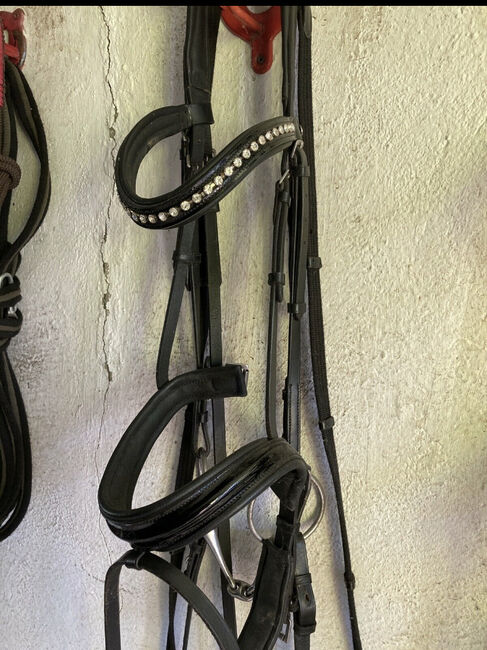 Lacktrense, Jana, Bridles & Headstalls, ROSTOCK