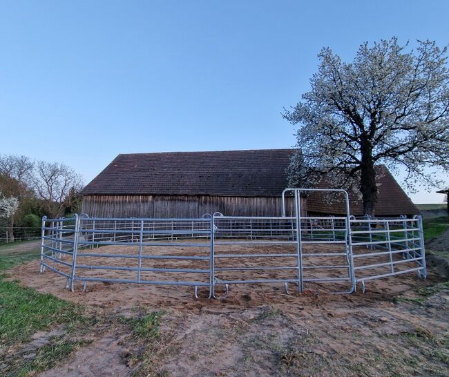 Patura Roundpen 16 m, Patura, An, Riding Arena, Lerchenfeld