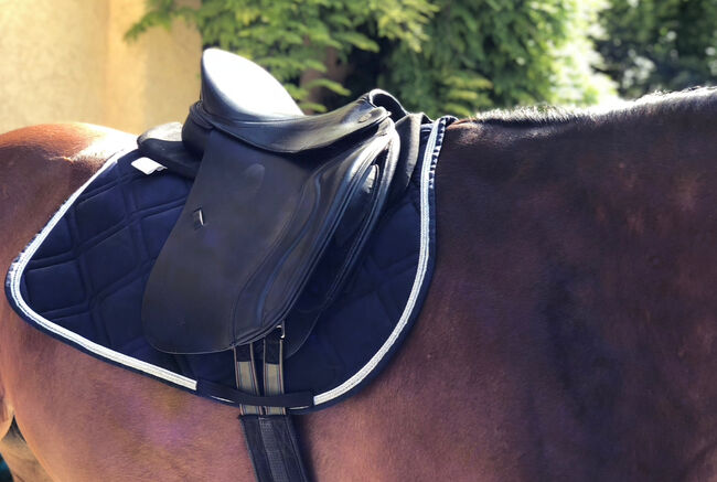 Pegasus Butterfly MP Vielseitigkeitssattel – Neuwertig – zu verkaufen, Butterfly Pegasus, Thalia , All Purpose Saddle, münchen , Image 3