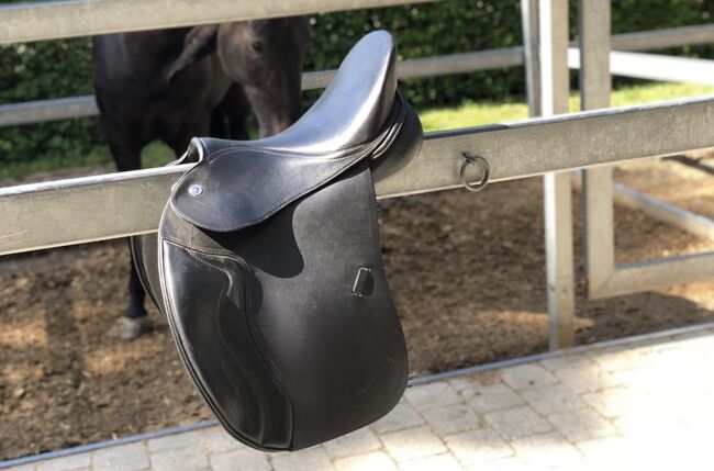 Pegasus Butterfly MP Vielseitigkeitssattel – Neuwertig – zu verkaufen, Butterfly Pegasus, Thalia , All Purpose Saddle, münchen , Image 4