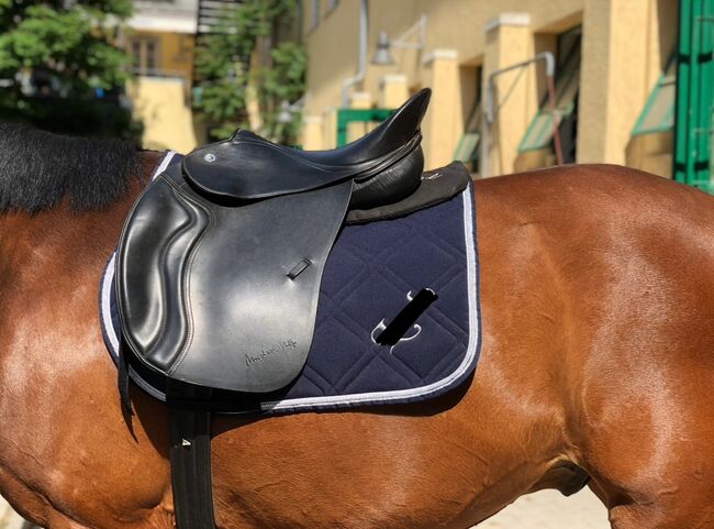 Pegasus Butterfly MP Vielseitigkeitssattel – Neuwertig – zu verkaufen, Butterfly Pegasus, Thalia , All Purpose Saddle, münchen , Image 2