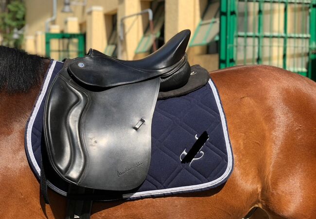 Pegasus Butterfly MP Vielseitigkeitssattel – Neuwertig – zu verkaufen, Butterfly Pegasus, Thalia , Siodła wszechstronne, münchen 