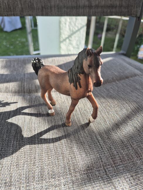Schleichpferde und No Name Marke, Tamara O., Książki, Windisch
