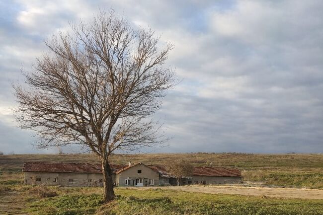 Pension,breaking,breeding, LexaZ, Sonstiges, Giurgiu