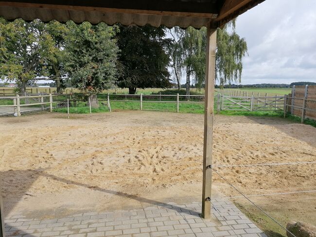 Rentnerplatz für Pony oder Pferd, H. Lange , Horse Stables, Mönchengladbach, Image 3