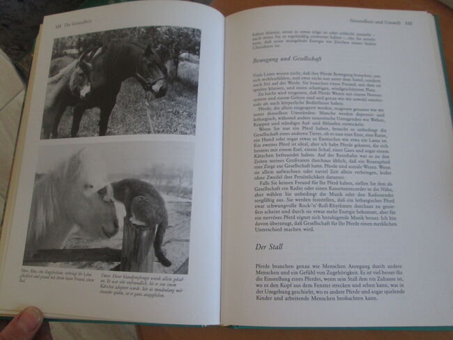 Die Persönlichkeit Ihres Pferdes Linda Tellington Jones S. Taylor, Frackh Kosmos Linda Tellington Jones, Mandy, Books, Camburg, Image 8