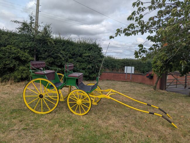Peterborough four-wheel carriage, Peterborough  Peterborough four-wheel carriage, CF, Powozy konne, Telford , Image 2