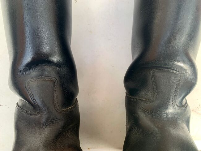 Petrie Stiefel, Petrie, Valentin , Riding Boots, Wedel, Image 5