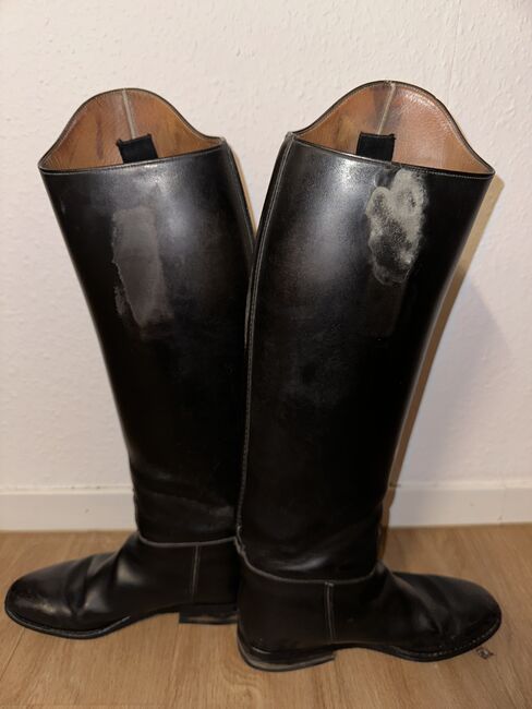 Petrie Dressurstiefel, Petrie, Vanessa , Riding Boots, Essen, Image 2