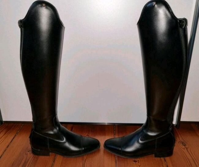 Dressurstiefel Petrie, wie Neu! Gr. 39, Petrie, Vanessa Ja., Riding Boots, Emsbüren