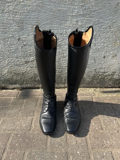 Petrie Reitstiefel Riva, Petrie Petrie Riva , Lena, Riding Boots, Südlohn 