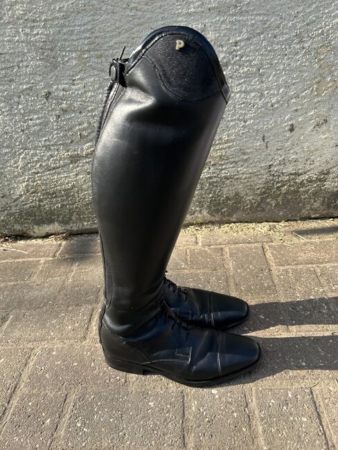 Petrie Reitstiefel Riva, Petrie Petrie Riva , Lena, Riding Boots, Südlohn , Image 4