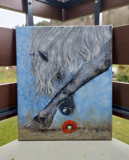 Pferd Goldig Oelgemaelde neu. 50/60, Ola, Konie na sprzedaż, Dallikon