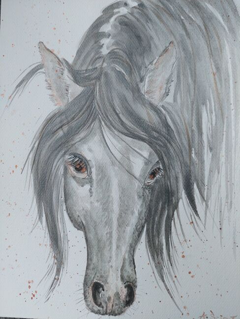 Pferd Grau Aquarelle handgemalt, Ola, Pferd kaufen, Dallikon