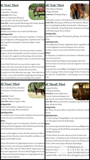 Ist dein Pferd ein Holz-Pferd oder hast du eher Feuer unter dem Hintern?, Sybille Baier (Sunstar-Self-Healing), Therapie & Behandlung, Herzberg am Harz, Abbildung 6