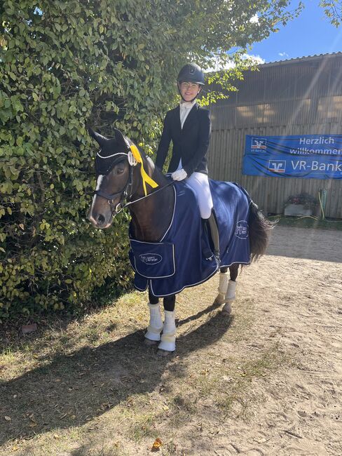 Pferd/ Pony zur Turniervorstellung gesucht, Evelyn Wouters, Pferd kaufen, Aachen