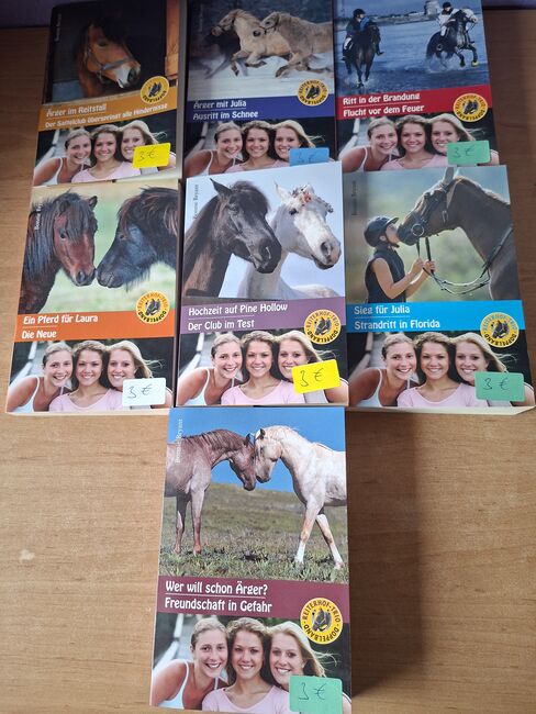 Pferd Romane zu verkaufen, Simone Placke, Bücher, Wallenhorst, Abbildung 4