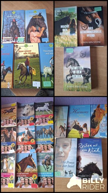 Pferd Romane zu verkaufen, Simone Placke, Bücher, Wallenhorst, Abbildung 13