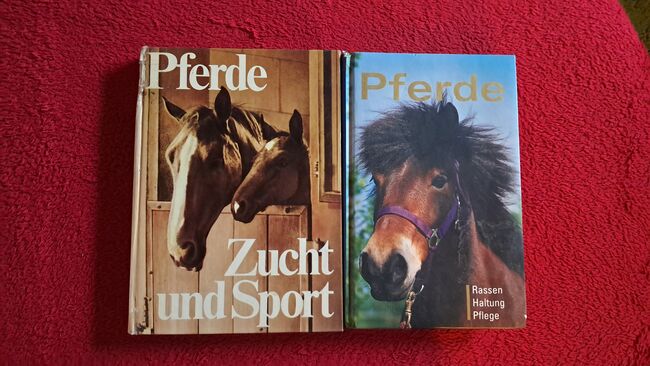 Pferd Zucht und Haltung, Tina, Bücher, Frankenthal (Pfalz)