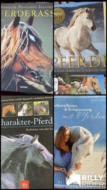 Pferde Bücher, Martina Vogel, Bücher, Hersbruck, Abbildung 5