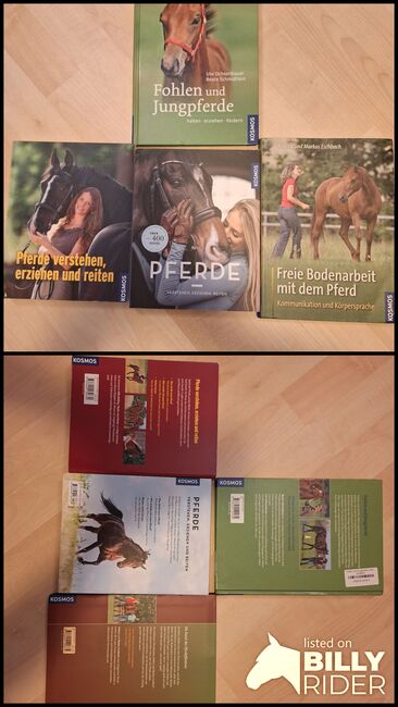 Pferde bücher, Kosmo , Samantha , Bücher, Weilerswist, Abbildung 3
