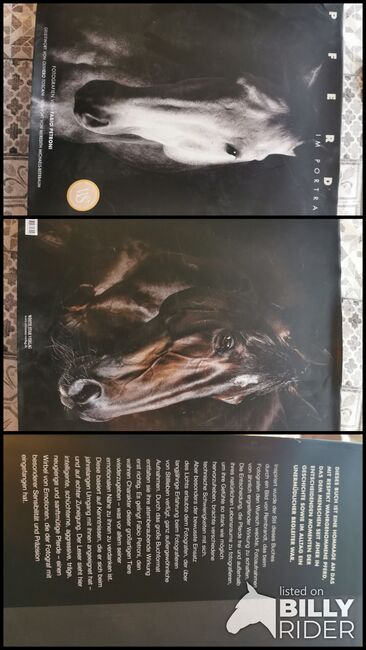 Pferde im Portrait, Fabio Petroni Fotografien, Elke, Bücher, hassfurt, Abbildung 4