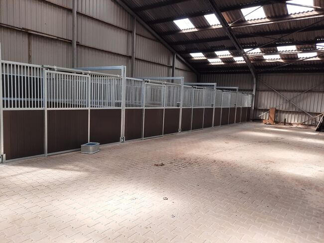 Pferdeboxen, NE Staalbouw, Horse Stables, Veendam, Image 5